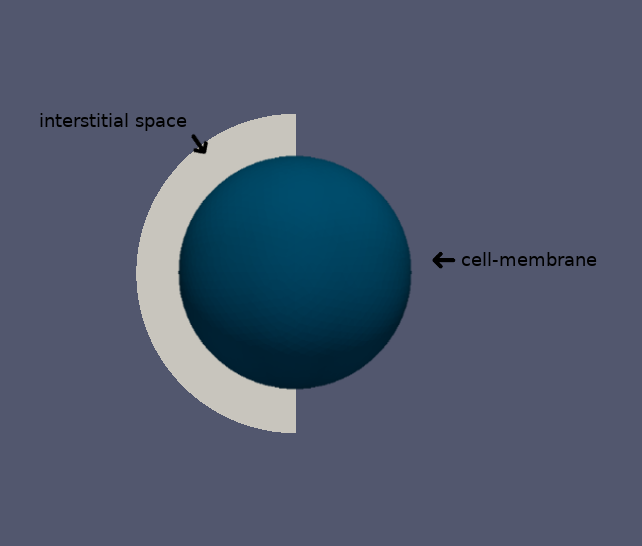 Spherical Cell